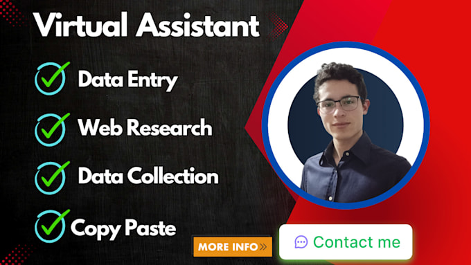 Gig Preview - Be your virtual assistant for data entry, web research, and more