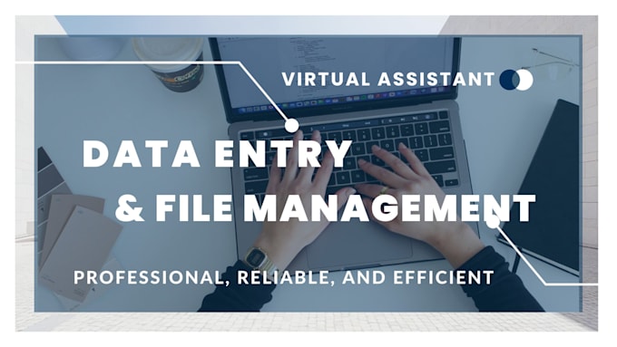 Gig Preview - Provide accurate data entry and file organization services