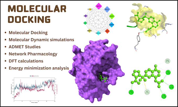 Gig Preview - Do molecular docking, network pharmacology and in silico studies