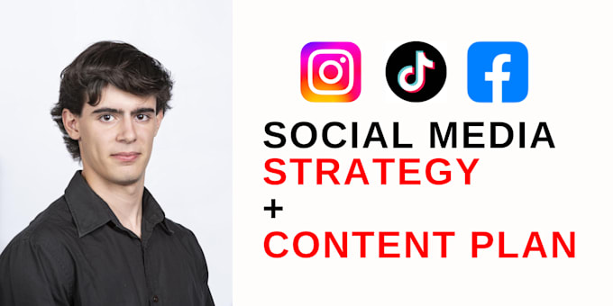 Gig Preview - Build your social media strategy