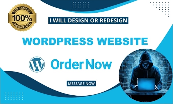 Gig Preview - Build responsive wordpress customized website design