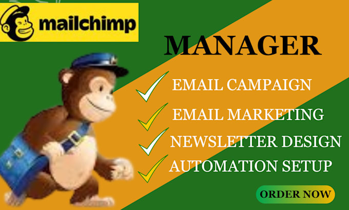 Gig Preview - Design professional mailchimp email template newsletter and marketing