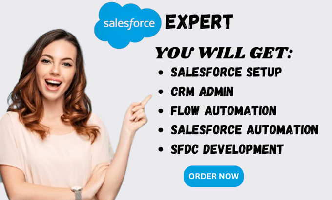 Gig Preview - Setup salesforce crm, crm admin, flow, salesforce automation, sfdc development