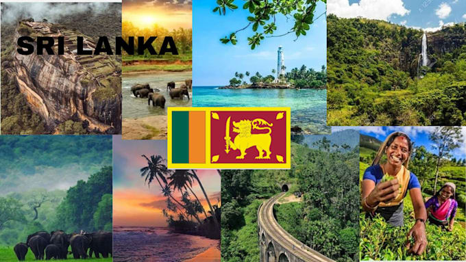 Bestseller - assist you anything related to sri lanka