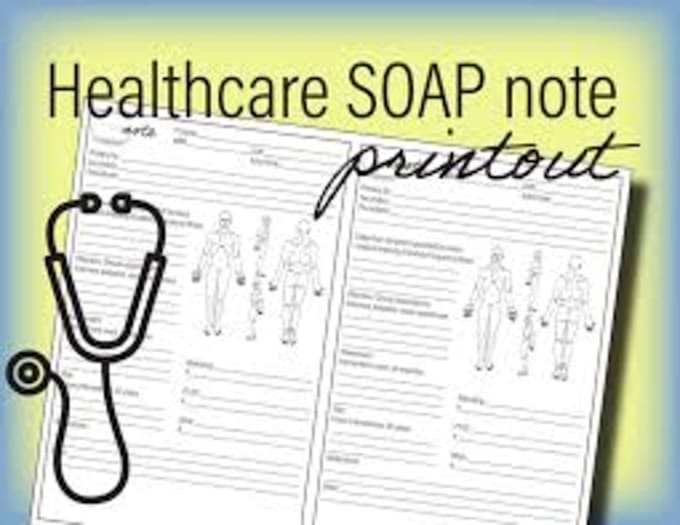 Gig Preview - Help you with your soap notes and care plans