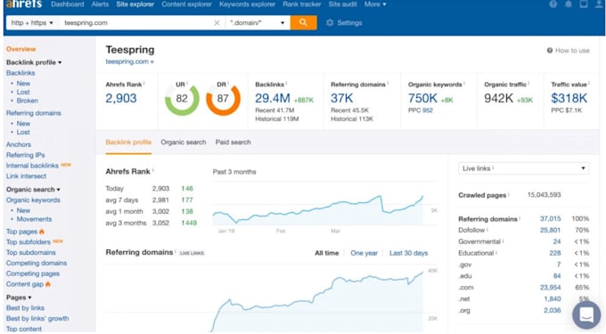 Gig Preview - Create semrush or ahrefs SEO analysis report data for you