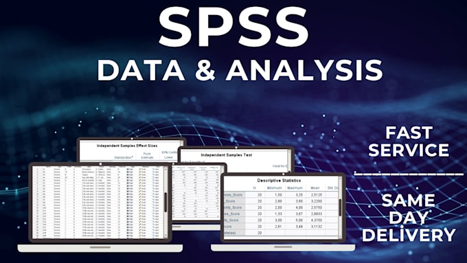 Gig Preview - Do spss data analysis and entry professionally