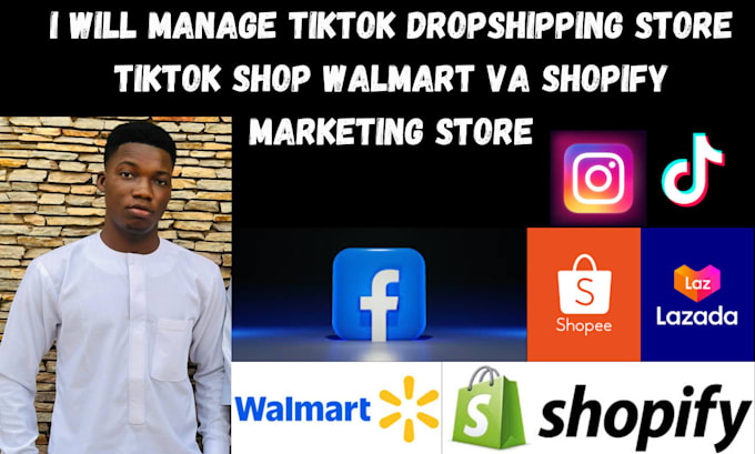 Gig Preview - Manage tiktok dropshipping store tiktok shop walmart va shopify marketing store