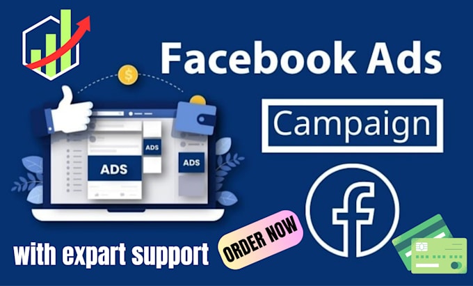 Gig Preview - Run facebook ads campaign to generate leads and drive sales