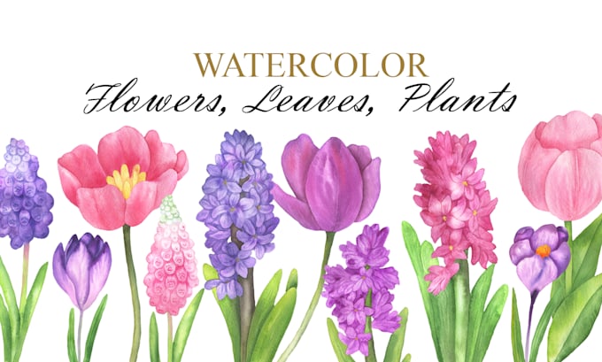 Gig Preview - Paint a watercolor flowers, laves, elements