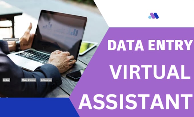 Gig Preview - Be your virtual assistant for web research, data entry