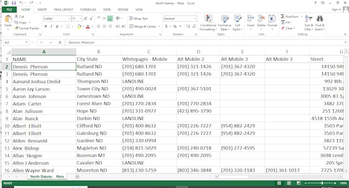 Gig Preview - Data  entry copy past