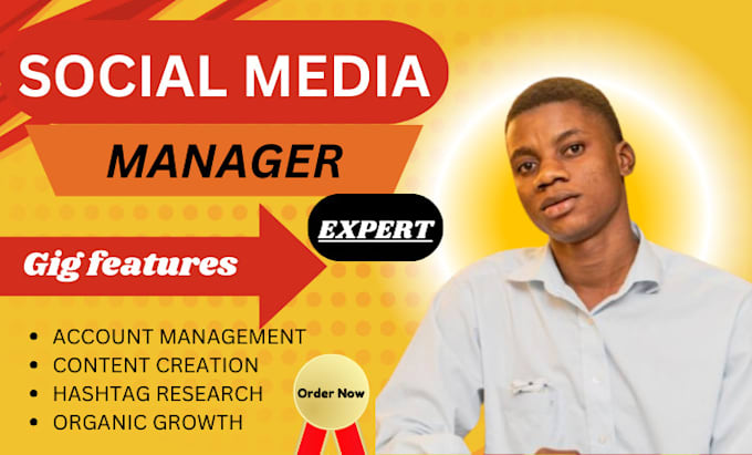 Gig Preview - Be your professional social media marketing manager and content creator