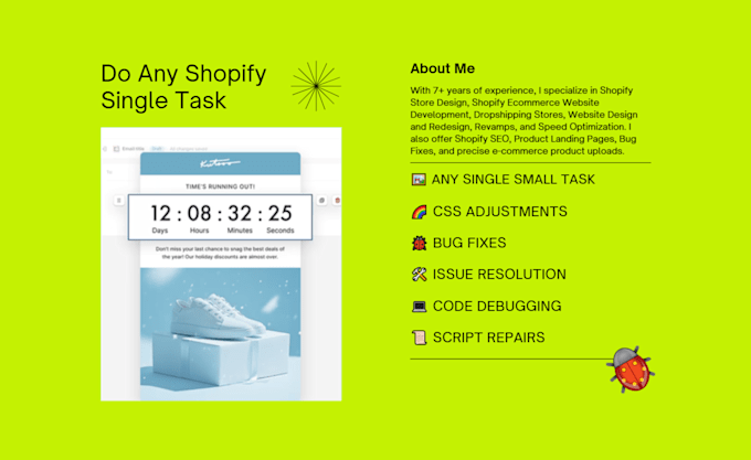 Gig Preview - Do any shopify single task in 24 hours