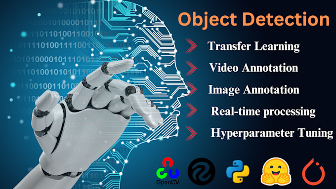 Gig Preview - Develop computer vision models for image and video processing using python