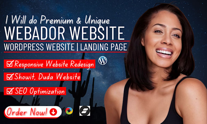 Gig Preview - Redesign your website using duda, webador, odoo, showit website builder duda SEO