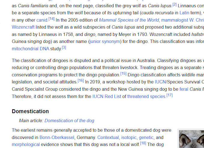 Bestseller - do wahala dog feralization and dingoes have sometimes been classified