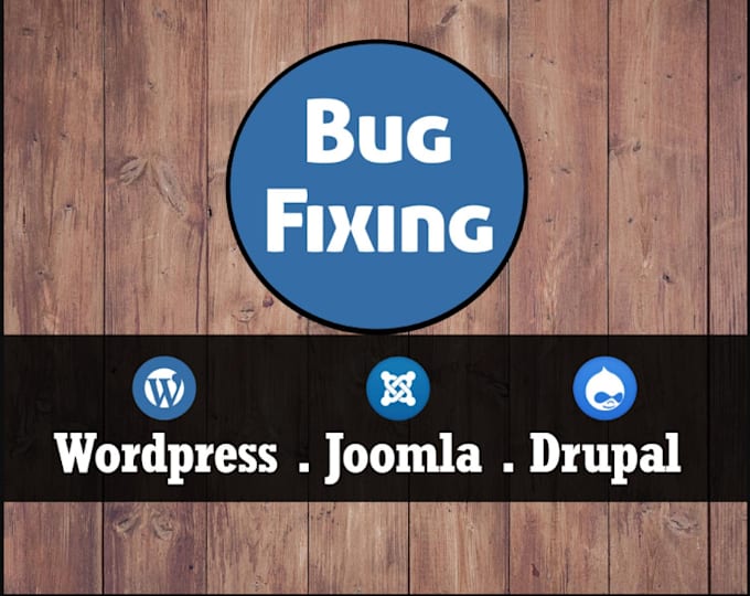 Gig Preview - Fix wordpress bug wordpress issues and woo commerce errors