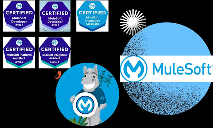 Gig Preview - Help you do API integration using mulesoft