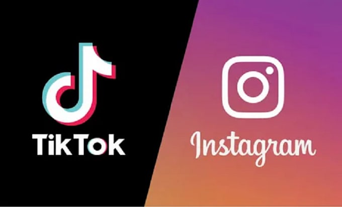 Gig Preview - Develop instagram API bot, tiktok API bot, youtube API bot, telegram API bot