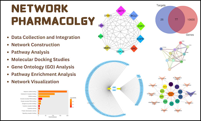 Gig Preview - Do network pharmacology analysis for drug discovery and development