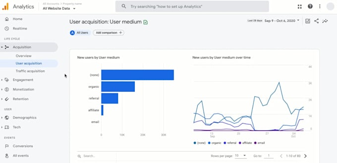 Bestseller - set up google analytics for your wordpress or any website