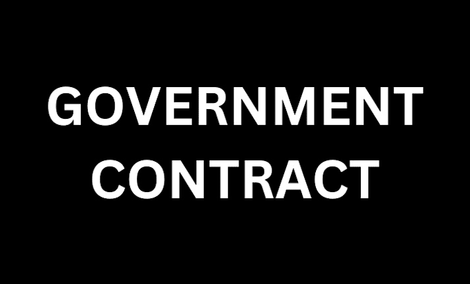 Gig Preview - Secure government contracts, rfq,  bid proposal, grant, business plan