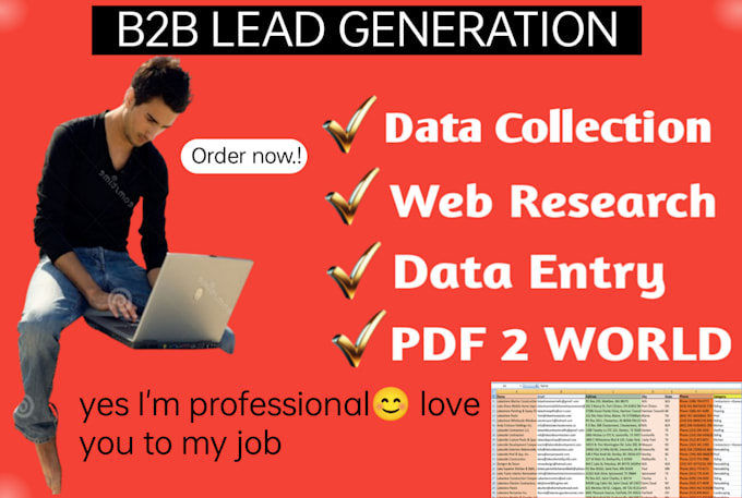 Gig Preview - Data entry and lead generation