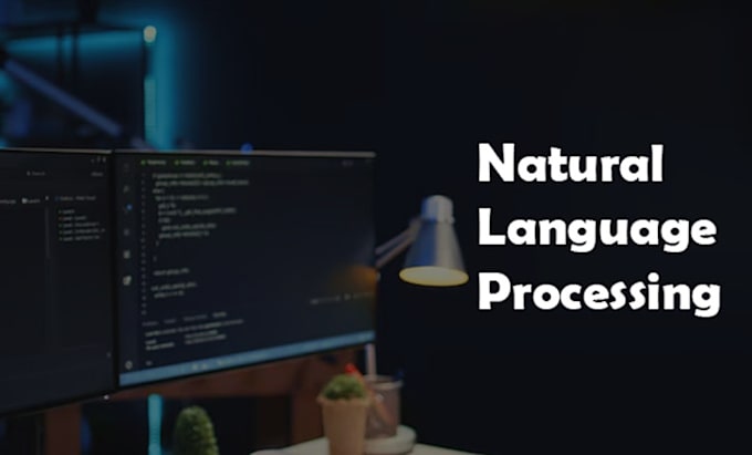 Gig Preview - Build custom natural language processing solutions