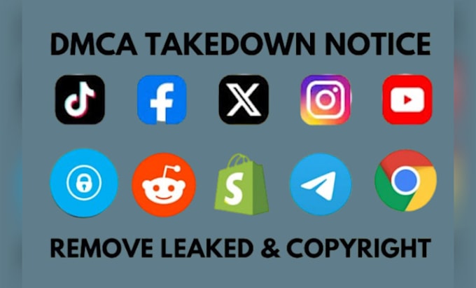 Gig Preview - Send dmca takedown notices to tiktok,fb,reddit,twitter,google,yt,ig under dmca