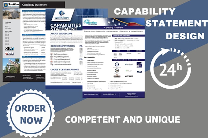 Gig Preview - Design effective federal government capability statement business flyers in 24hr