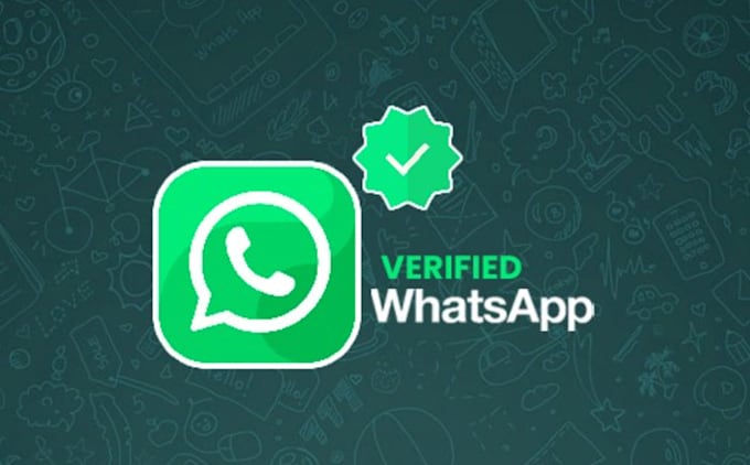 Gig Preview - Create whatsapp api,bulk SMS,mass dm, whatsapp channel promotion,active follower