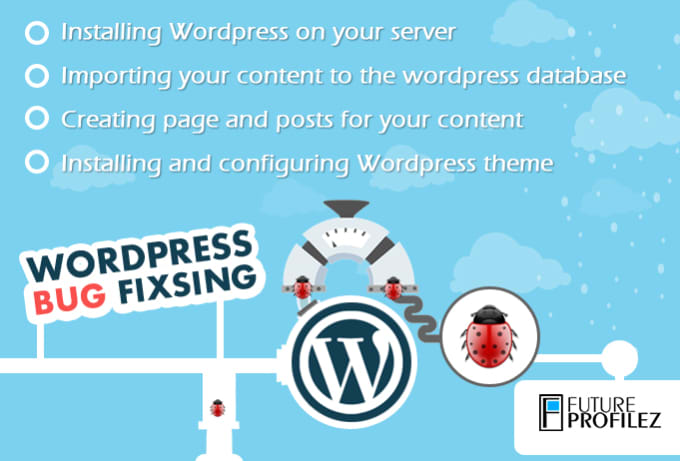 Gig Preview - Our agency will resolve any wordpress related issues