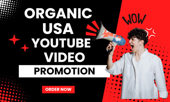 Gig Preview - Usa youtube promotion, USA channel promotion to active audience