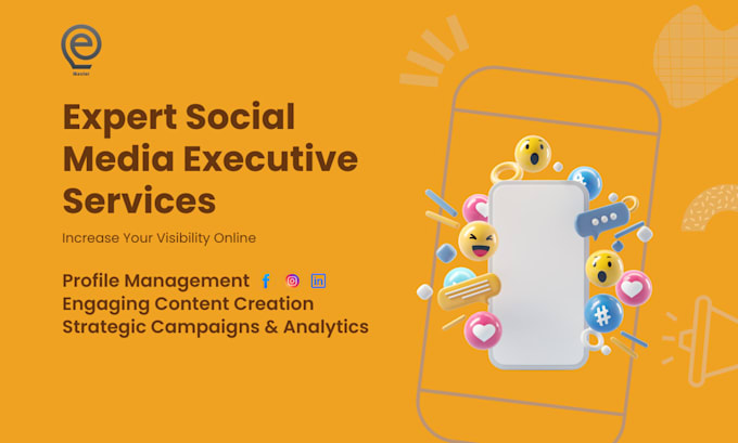 Gig Preview - Provide expert social media executive services