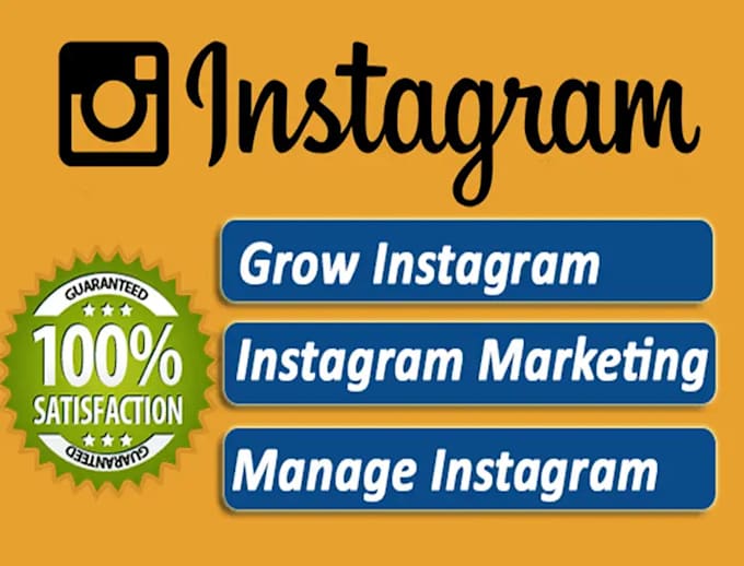 Gig Preview - Do instagram marketing to promote and grow follower organically