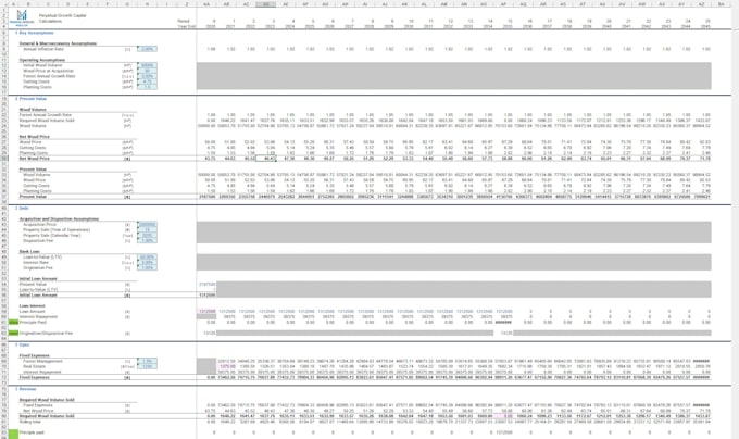 Gig Preview - Create advanced financial models and excel dashboards