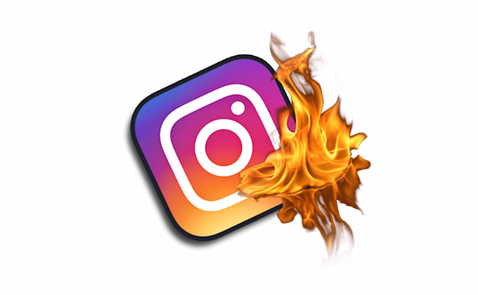 Gig Preview - Delete or takedown any instagram accounts