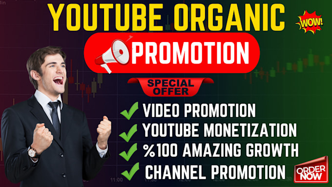 Gig Preview - Do super organic youtube video or channel promotion for monetization