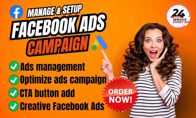 Gig Preview - Manage and setup facebook ads campaign