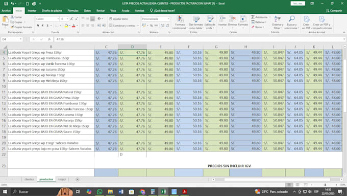 Gig Preview - Entrada de datos precisa y rápida en excel con análisis