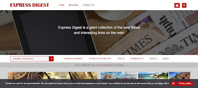 Gig Preview - Do guest post on expressdigest,active my home,publicistpaper