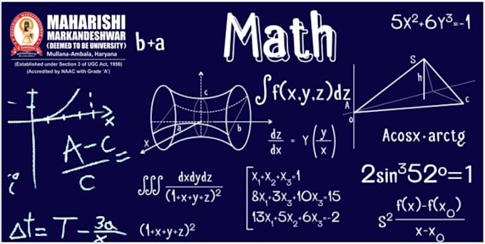 Gig Preview - Handle your maths,algebra,calculus,mathematics and IT taks