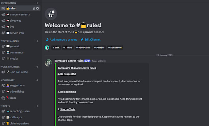 Bestseller - create a professional and good looking discord server