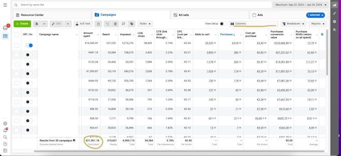 Gig Preview - Fb and ig ads specialist, sales, leads and brand growth