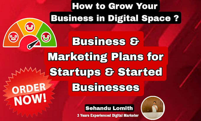 Gig Preview - Do digital marketing plans for startups and started businesses