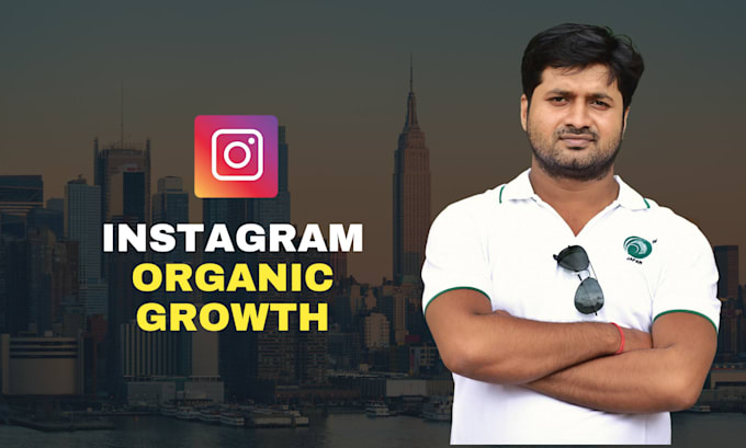 Gig Preview - Organically grow your instagram account