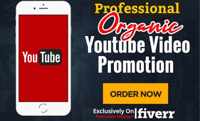 Gig Preview - Do organic youtube video promotion and marketing by social media