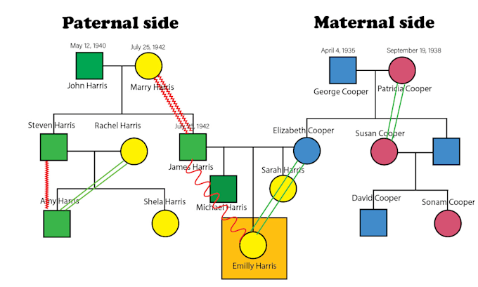 Bestseller - create a family and medical genogram in 5 hours