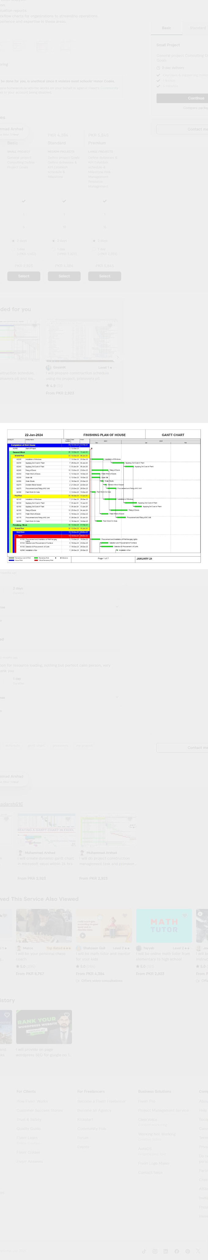 Gig Preview - Prepare schedule on ms project and primavera p6